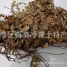 �i�ײ�,�F��ާ,�ië��,���l��ș���i�ײ�