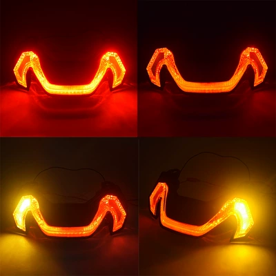Brake Turn Signal Assembly, Motorcycle tail