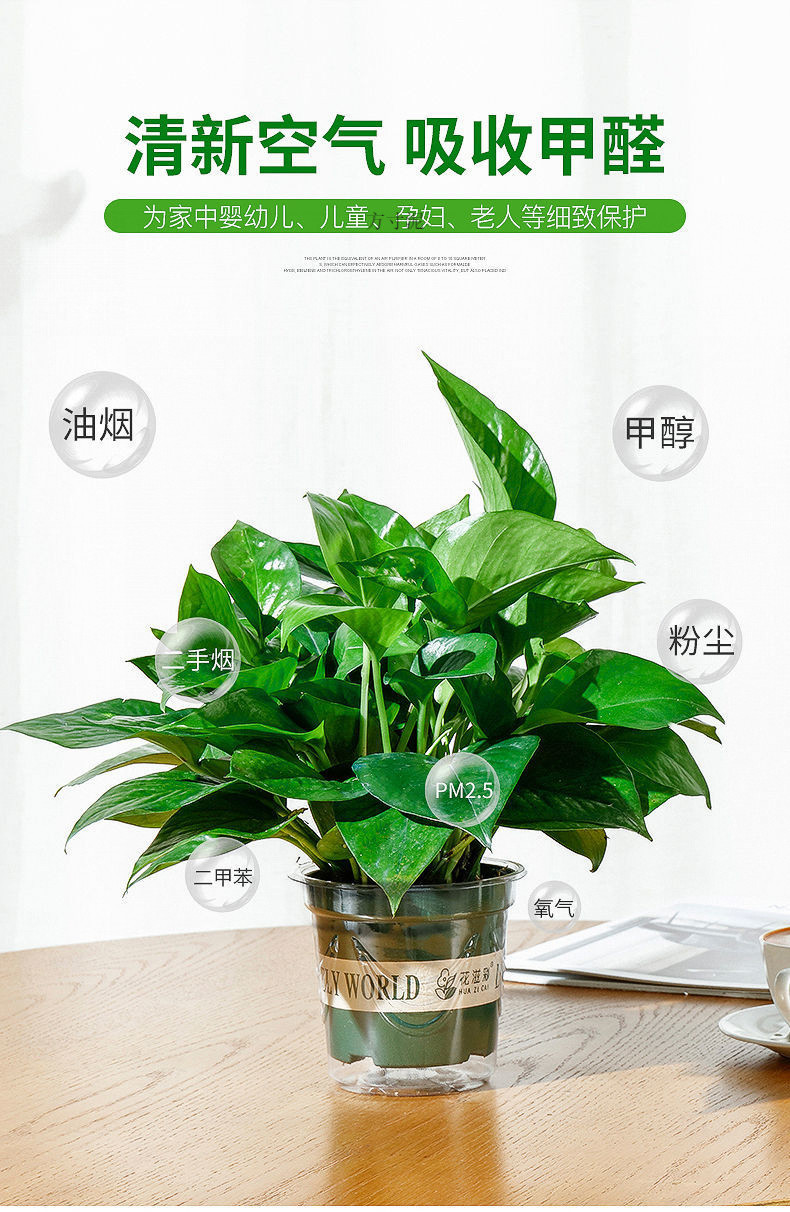 626897e3-b0a3-4cca-a5ff-93a7a9bac933.jpe