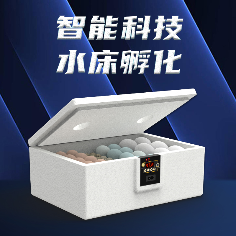孵化器小型家用水床孵化机鹌鹑孵化箱芦丁鸡迷你智能恒温孵蛋器金