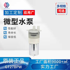 GT27BPW微型水泵 厂家供应自吸水隔膜泵 丰胸仪吸奶器增压泵