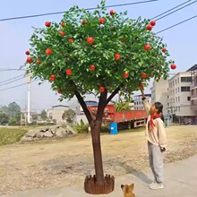 �����O���������������ɽ�â�������҃ȴ���ֱ���g�쾰�b٘�
