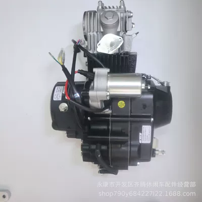 Apollo off-road motorcycle modified Engine assembly