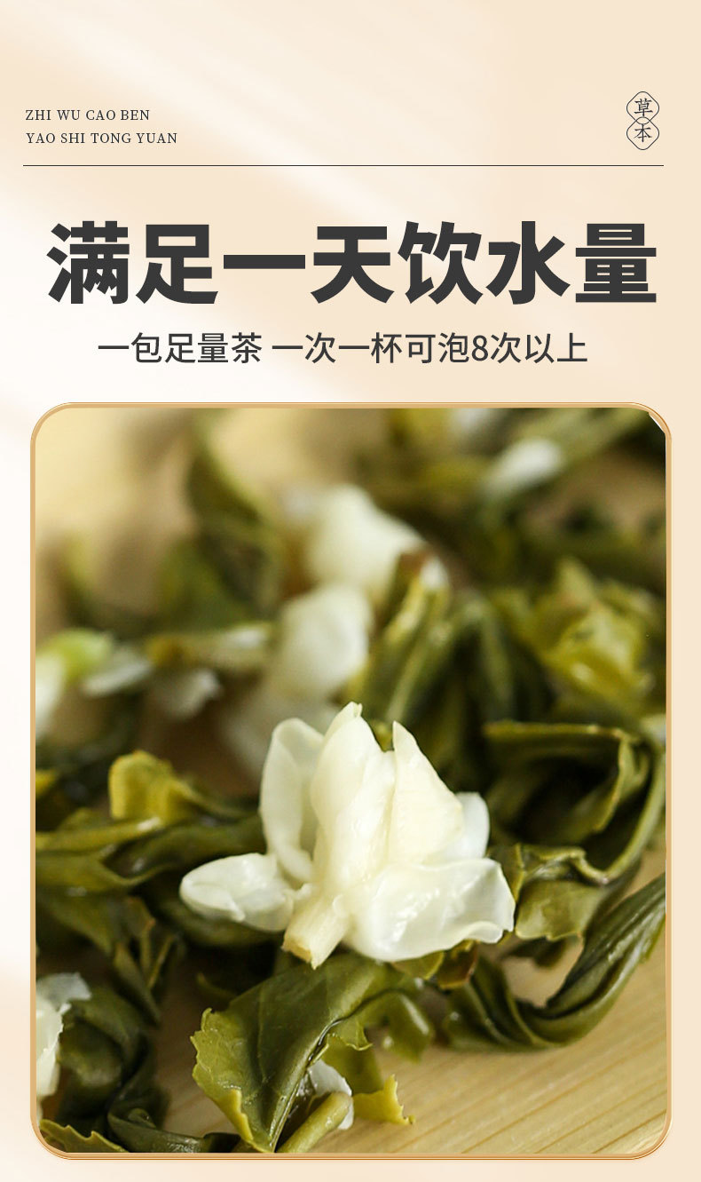 Jasmine Green Tea Cold Brew Pyramid Tea Bags 3g x 100 Individually Wrapped Sugar Free in use