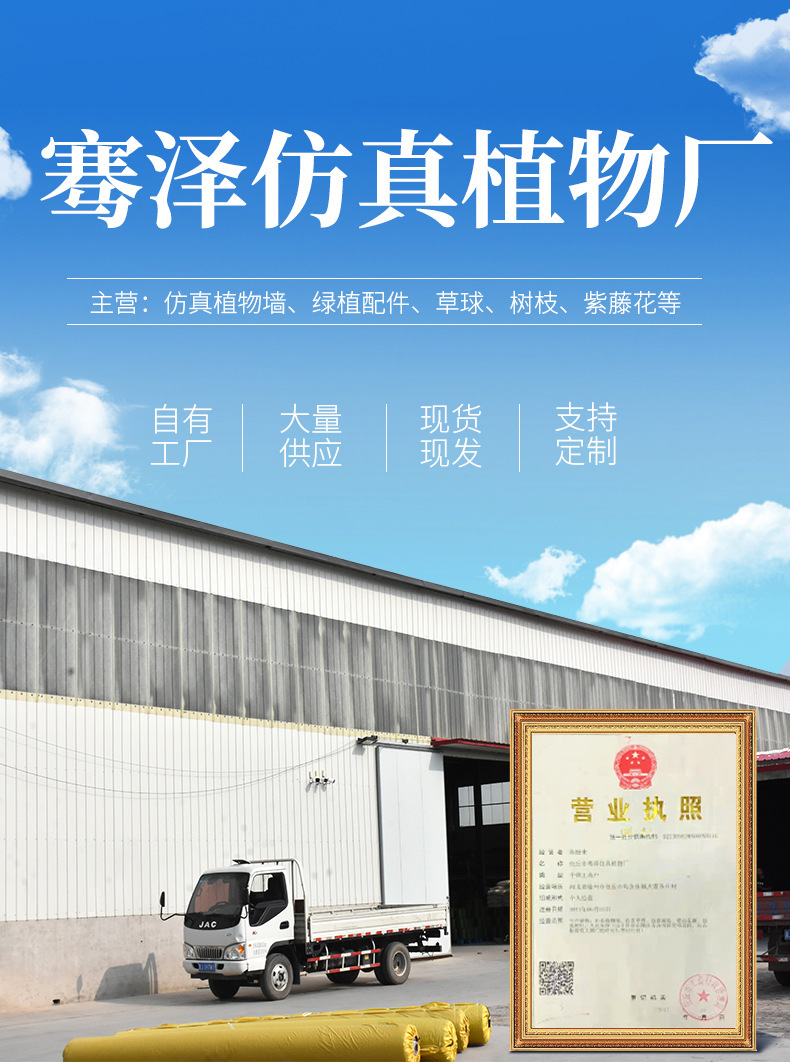 详情图