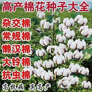 ǧ��Нh���޻��N�Ӈ����޿����x�s���޴���޸߮a�½��޻�����