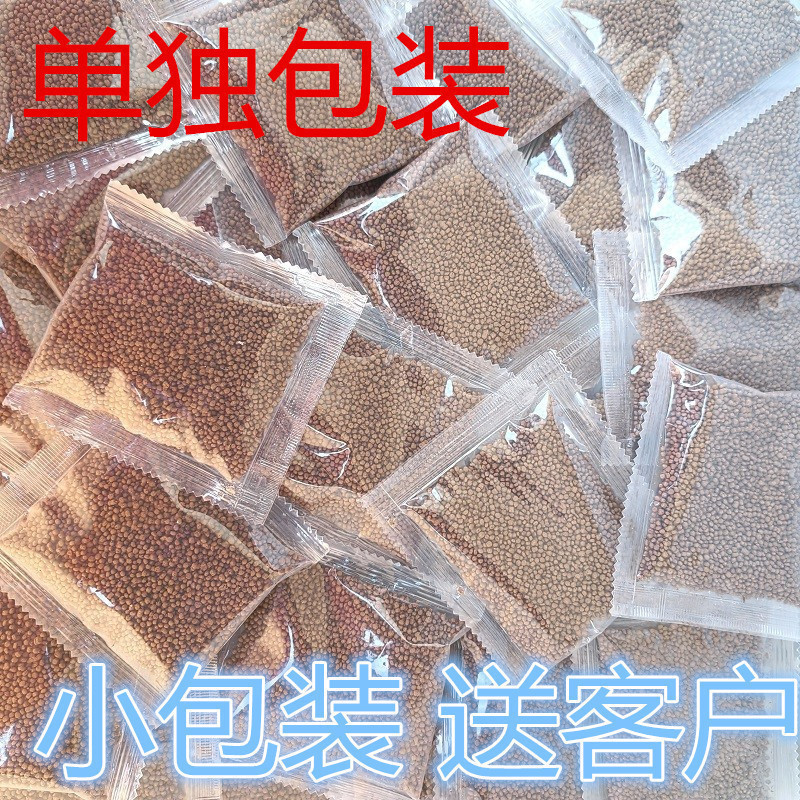 小金魚卸売、活魚、観賞魚、小卸売、鯉、鯉、三色赤白子頭、入門レベルの耐久性のあるヘアエクステンション|undefined