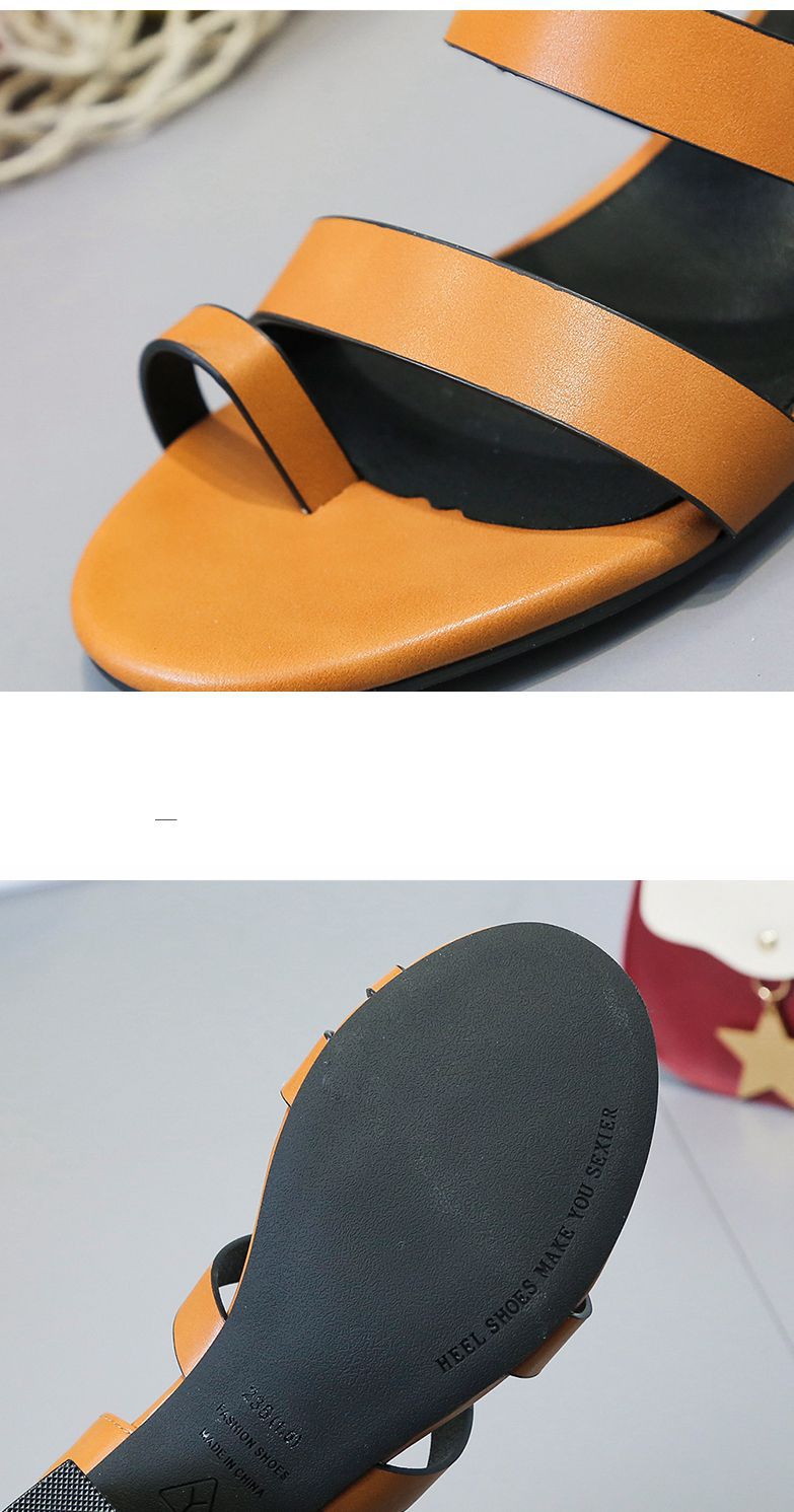 2019031919544187783430_副本