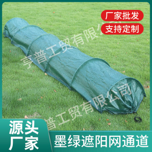 �����r��͸�����ϱ�Ĥ�N��С����Ĥ�r��Ĥ���ϼ����ص�Ĥ��������