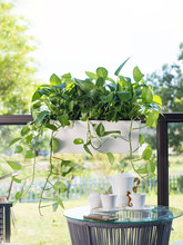 �L���λ����L�l���̨���ۑҒ��������ˮ���W�����ʽ��̖�Nֲ��