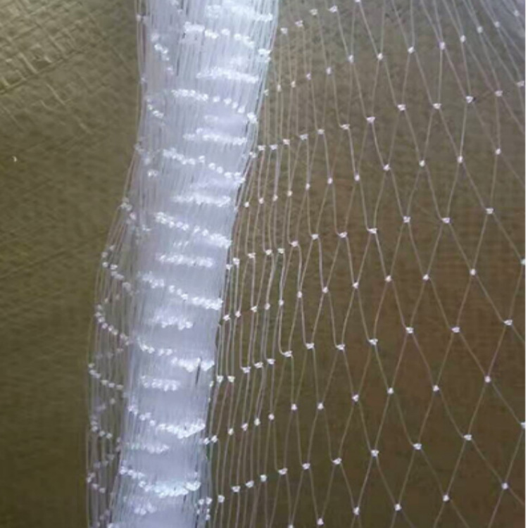 果园防护网防鸟网A衡阳果园防护网防鸟网A果园防护网防鸟网厂家