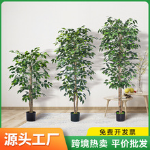 亚马逊跨境仿真榕树小型盆景绕藤榕树室内客厅仿真植物弯叶榕榕树