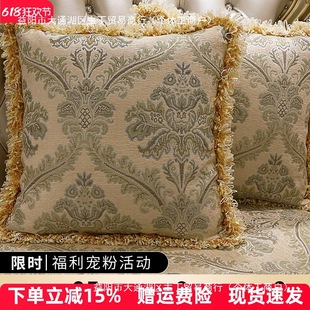 European-Style High-End Luxury Sofa Cushion, Living Room Cushion, Waist Pillow, Bedside American-Style Cushion Cover with Core, Large Cushion