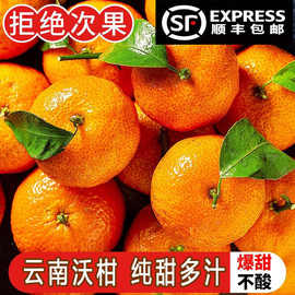 顺丰包邮云南沃柑纯甜新鲜水果橘子椪柑芦柑砂糖蜜橘批发