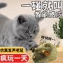 逗猫互动仿真鸟鸣小老鼠
