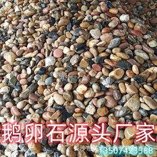 ׃������5-8�Z��ʯˮ̎������ʯ�Z��ʯ�@�־��^�·5-8�����Z��ʯ