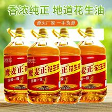 �S�����l�����������͉�եһ�����������l�b5L
