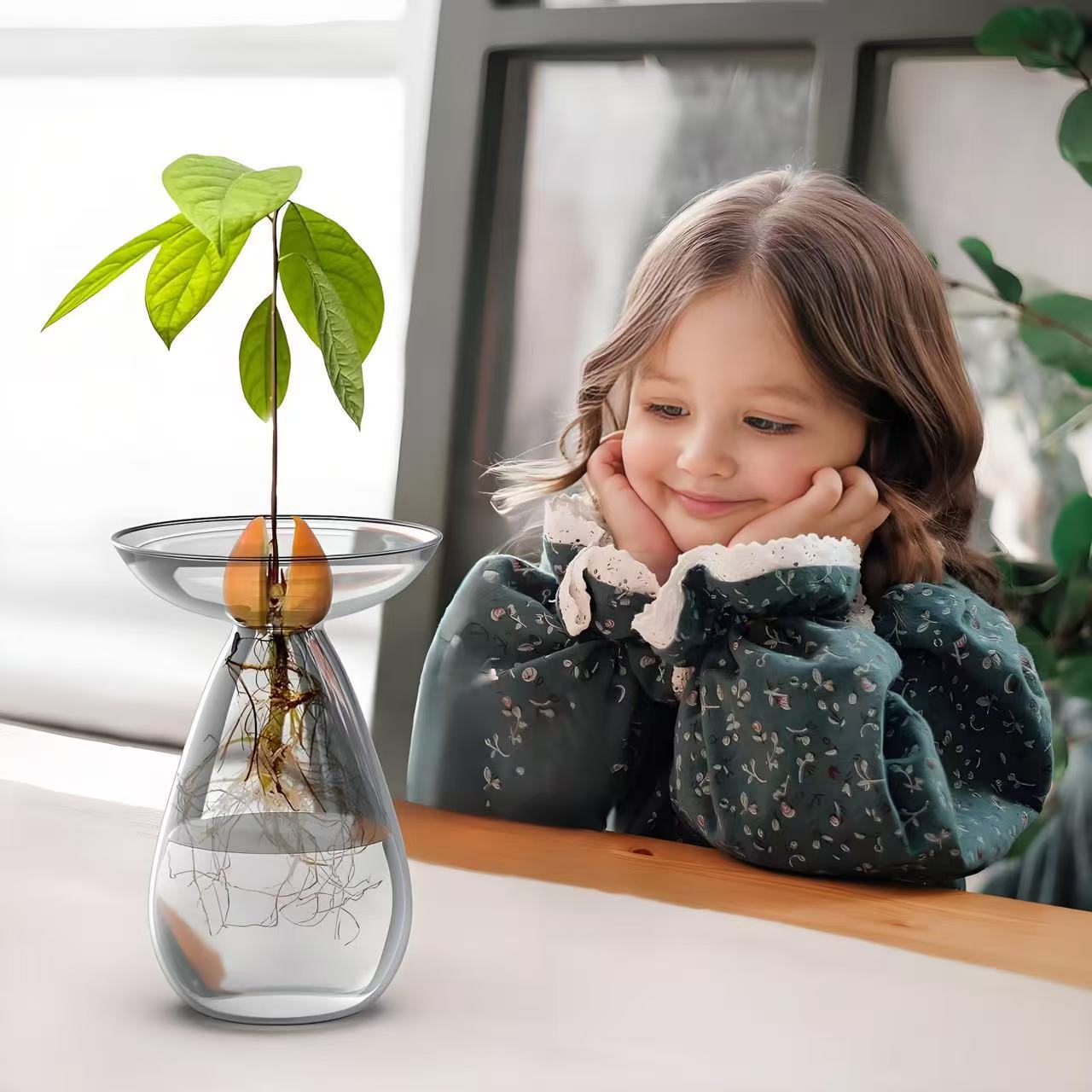 Vaso hidropónico de aguacate Vaso de plantación de semillas de hueso de aguacate Vaso de aguacate con alto contenido de borosilicato