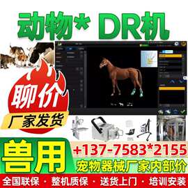 畜牧兽用DR仪器 小型移动动物拍片机 猫狗用DR机厂家-江苏新玛26
