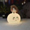 originality silica gel Cartoon Colorful led rabbit Night light bedroom Bedside children Atmosphere usb Rechargeable Lamps