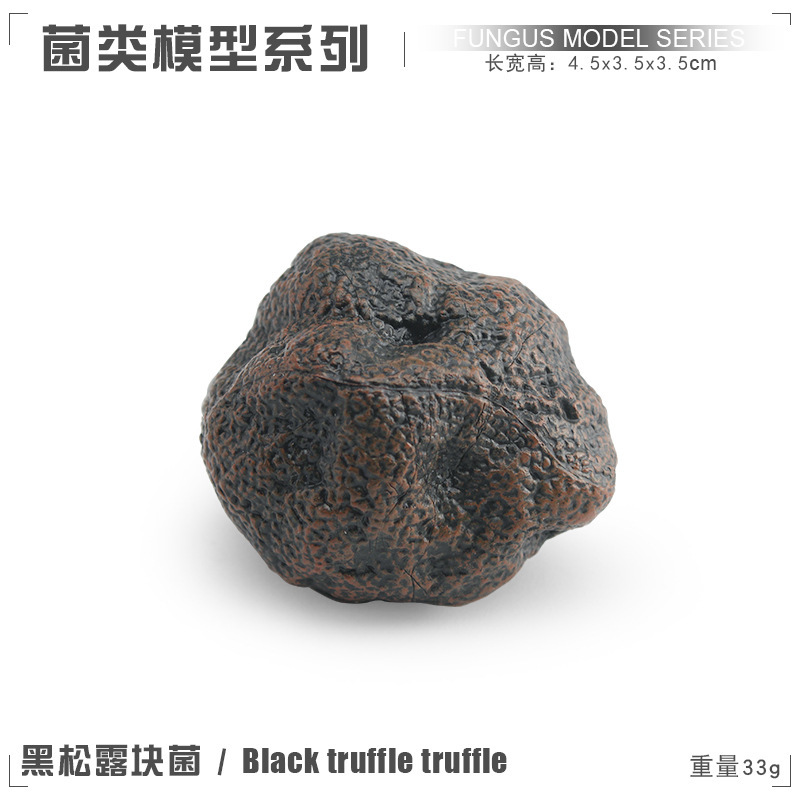 PL127 - 2155 truffle negro 33g