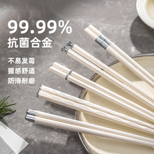 合金筷子家庭新款抗菌防霉耐高温餐具家用一人一筷专用陶瓷筷