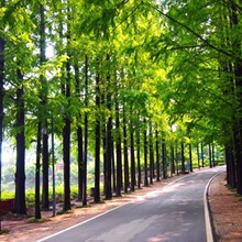 ²ɼľN ɳɼˮɼɼɼɼNyɼN