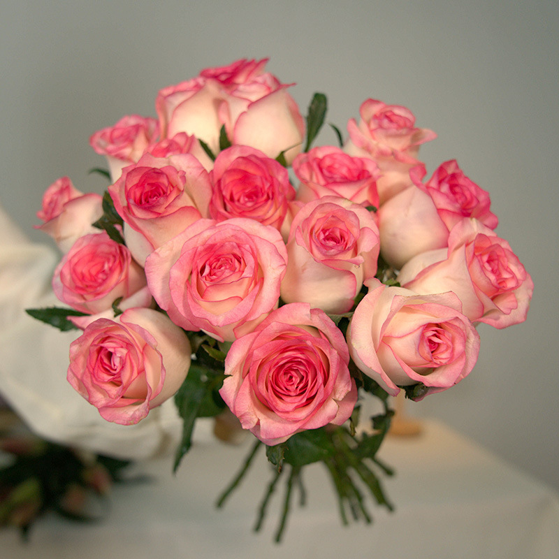 玫瑰花鲜花云南昆地批直发百合向日葵红豆家用鲜切水养插绢花|undefined