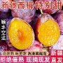 新疆喀什应季新鲜西梅