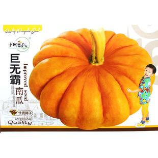 ʢ���ޟo���Ϲ��� �����ەr��Ƥ��Gɫ����ϳ����Sɫ�ϹϷN��