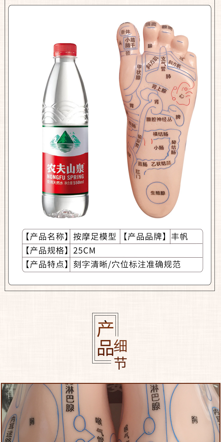Foot Acupoint Reflexology Model with Clear Markings, Foot Reflex Zone Massager, Acupoint Stick, PVC Foot Model for Home Wellness Routine detail image