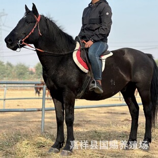 �F���d�x�������B�R����ِ�R���ܴ��ِ�R�^�pӰҕ���R���^���U