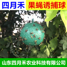�����ô����ω��ճ����ճ�x���Sɫ�Tω����ٌ�ω�Gɫ�Tճ�����l