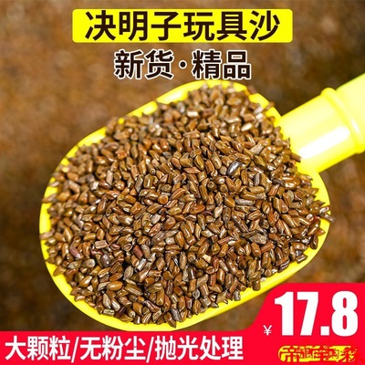 T兒童決明子玩具沙池套裝家用散裝枕芯裝寶寶沙灘玩沙子大顆粒室