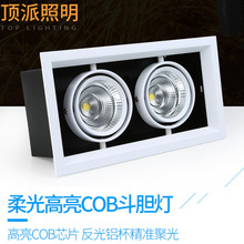 led������˫ͷar111Ƕ��ʽ��դ��Ƶ�ͷ��ͷ�����컨cob�����Ƴ�