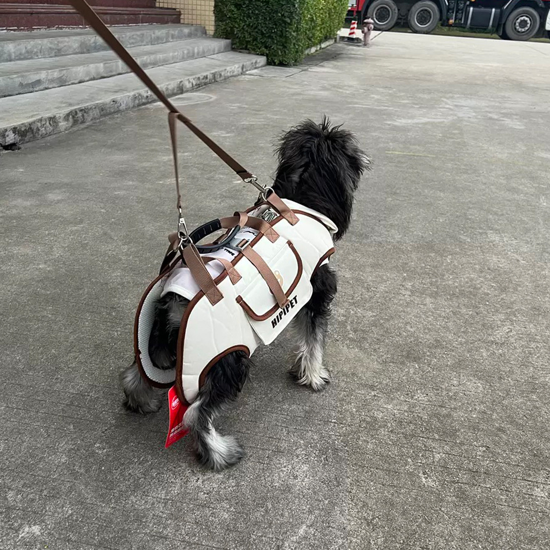 Mochila de salida para perros transfronterizos Mochila de remolque para mascotas portátil y transpirable con correa de mensajero Productos para mascotas