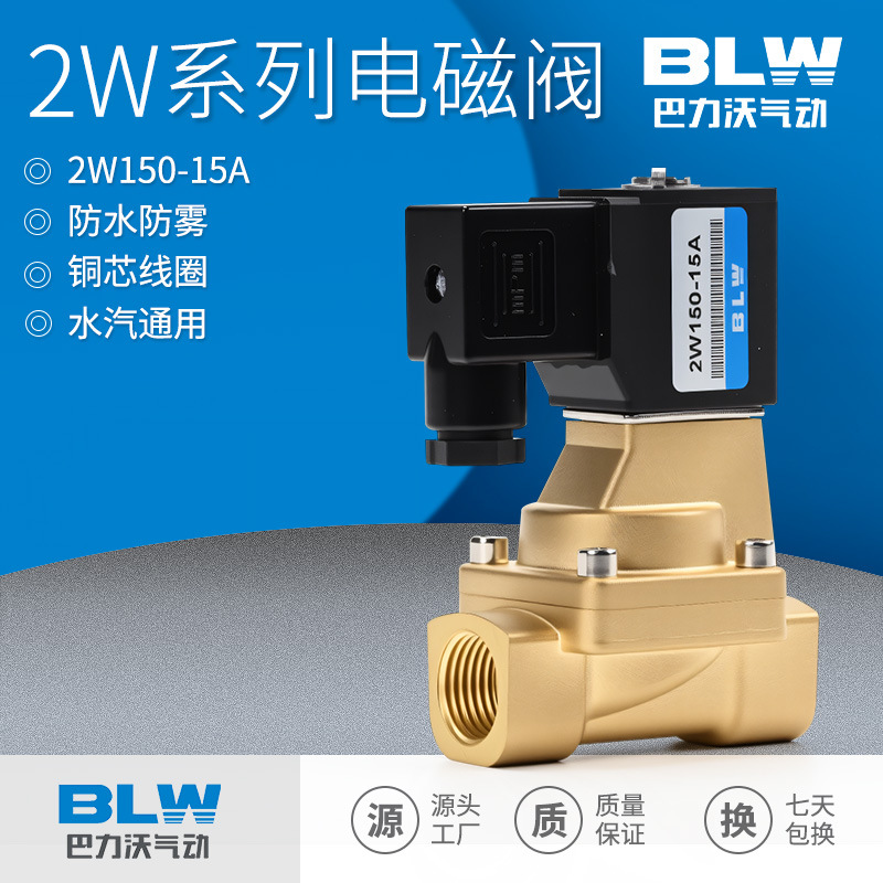 流体控制阀2WH150-15电磁阀耐高压常闭两通水阀先导式AC220VDC24V
