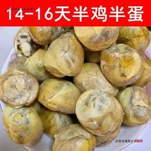 14-16����u�뵰���r40ö��ë�u���u�ߵ�ϲ�����u�������ǻ�����