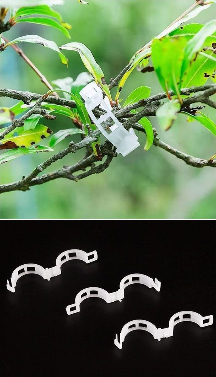 Green plant and fruit tree plant fixing clips, vine fasteners, seedling climbing support rods, fruit and vegetable plant fixing devices