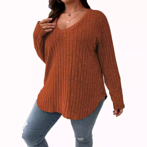 Autumn/Winter Plain Color Plus Size Women's Top V-Neck Long Sleeve Plaid Velvety T-Shirt Loose Hooded