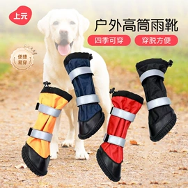 宠物鞋靴