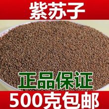 【包邮】东北生苏籽紫苏籽500g生紫苏子生苏子食用苏子籽种子烧烤