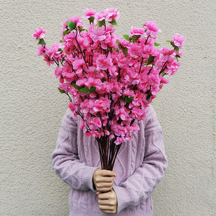 ��֧�һ������ٻ��҃������ľ�b��һ�֦���ϻ����һ�֦