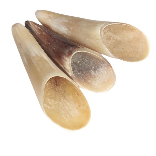 Medium-sized horn scraping spoon 16-18 cm scraping spoon, ideal for tourist areas as a gift