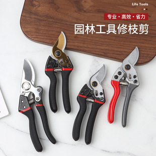 ������֦����SK5䓈@�֘�֦�����๦�ܼ����辰�޻���@�ִ�֦��