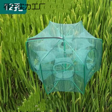 �~�W�r�\���~�\�����Ԅ��ۯBץ�S�X�\���r�W���ߝO���~�\�W�\�\��