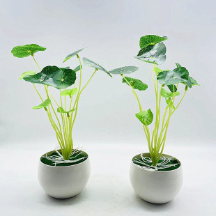 ����ֲ�������ָ�С���~�Gֲ���������~�X�����l����[�������~