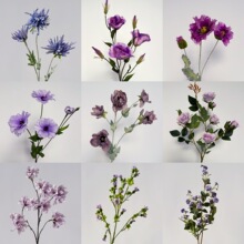 �؃r��}���]��c������ɫϵ���滨���l�zӰ���յ��߻�Y