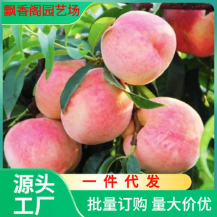 һ�����l�Ҙ����޽��Ҙ���ˮ���Ҙ����S�Ҙ��箔��Y���Ϸ�����