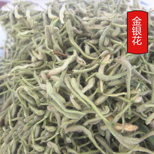 2024���½��y�����l��ș�ľG���y�����̶������y�����p��������